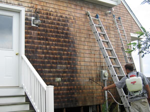 Pressure Washing Newburyport